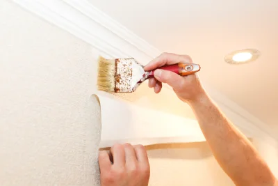 Pose de papier peint à Mont-Dore — revêtements muraux et toiles de verre
